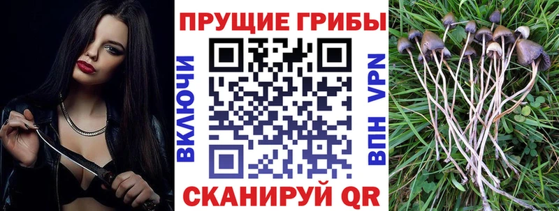 Псилоцибиновые грибы мухоморы  Луховицы 